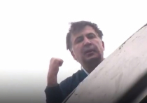 На стихийном митинге у стен Верховной Рады Михаил Саакашвили назвал президента Украины Петра Порошенко «изменником» и призвал сменить власть на Украине