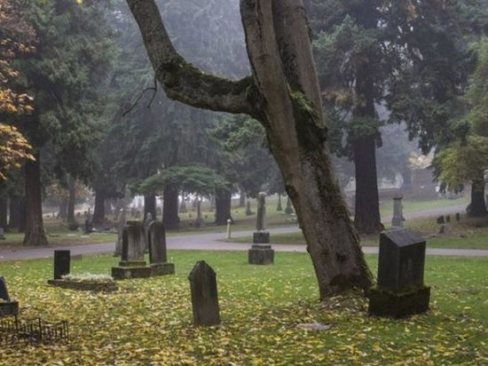 В Курской области малолетние вандалы разрушали надгробия