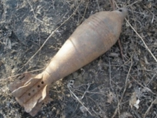 Несколько десятков снарядов времен войны обнаружено в лесу под Калугой 