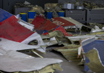 Портал The Insider совместно с исследовательской группой Bellingcat сообщил об установлении личности ключевого фигуранта дела об атаке на Boeing MH17 под Донецком летом 2015 года