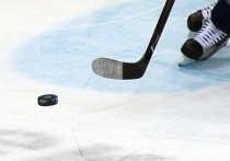 Очередной – 101-й – сезон в Национальной хоккейной лиге (НХЛ) отмотал восьмую неделю