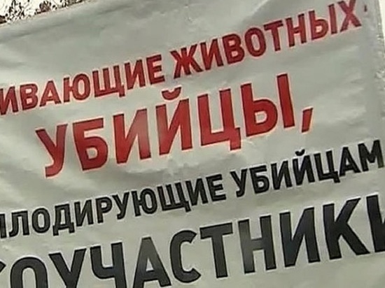 Ивановские живодеры  и догхантеры получат пять лет тюрьмы