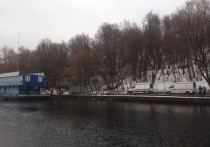 Маму с двумя детьми пришлось вылавливать спасателям из Москвы-реки 11 декабря