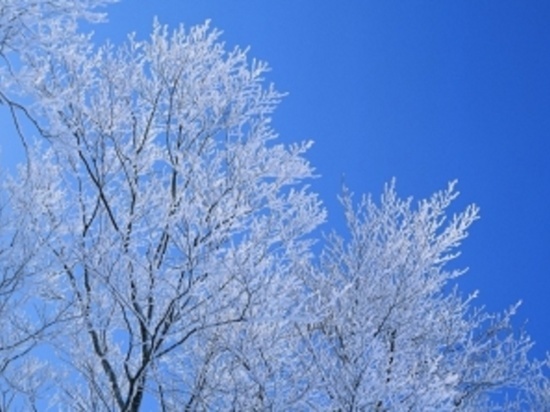 В Оренбуржье в ближайшие сутки ожидается изморозь 