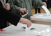 В Южно-Сахалинске в минувшее воскресенье завершились дополнительные выборы в городскую думу пятого созыва