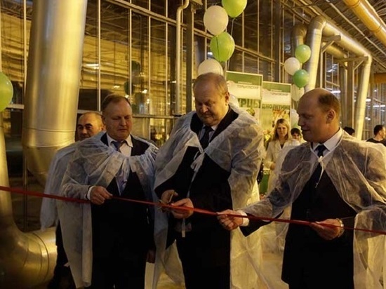 Новое современное производство овощей открылось в Нижегородской области