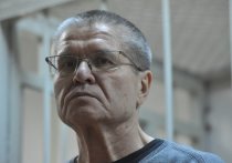 Приговор экс-министру Улюкаеву вызвал неоднозначную реакцию в обществе