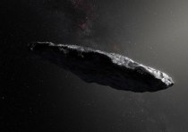 Группа исследователей под руководством Алана Фицсиммонса из Университета Квинс в Белфасте пришла к выводу, что поверхность астероида Оумуамуа оказалась покрыта густым слоем органики