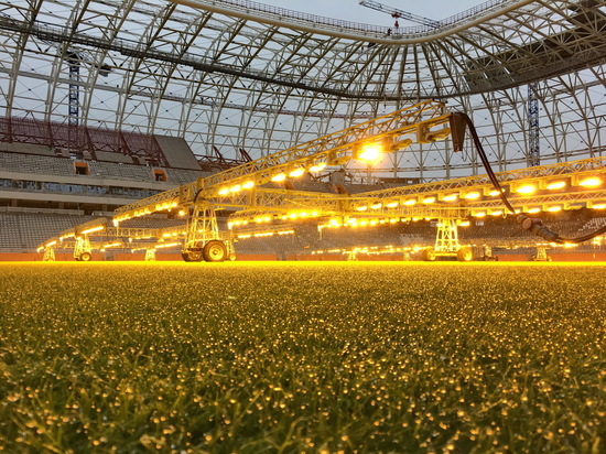 На новом стадионе «Мордовия Арена» под лучами искусственного солнца уже растет трава 