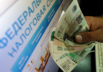 Госдума в среду, 20 декабря, начнет рассматривать законопроект о налоговой амнистии для граждан России