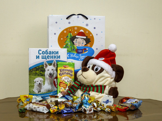 Алтай-Кокс подготовил новогодние подарки для детей Заринска