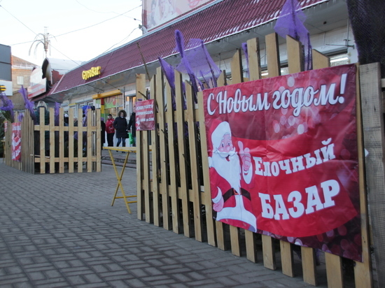 В Ярославле откроют 16 елочных базаров