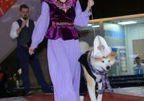 Кыргызский калпак на собаке пользователи социальных сетей сочли оскорблением