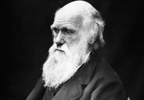 Группа исследователей, представляющих Колорадский университет в Боулдере, выяснили, что одна из довольно общепринятых на сегодняшний день теорий Чарльза Дарвина верна лишь отчасти