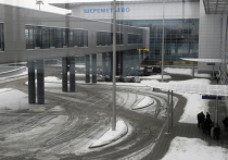 Московская транспортная прокуратура проверит информацию о том, что в аэропорту Шереметьево пассажирский самолет чуть не столкнулся со снегоуборщиком