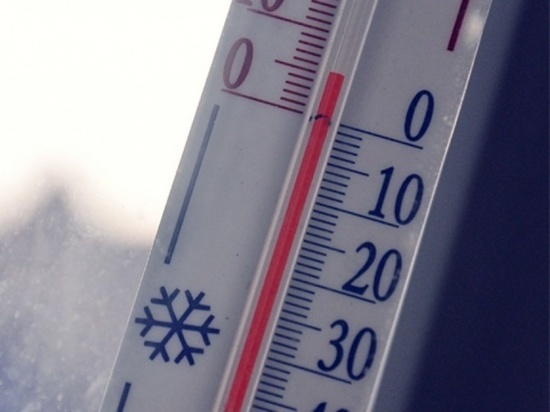 Этот декабрь в Курске стал самым жарким в истории