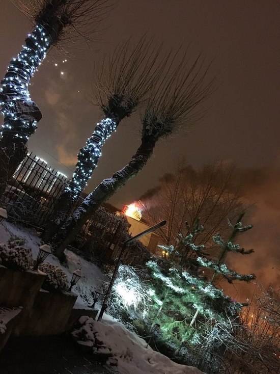 В Иванове на площади Пушкина сгорел «Новогодний медведь»