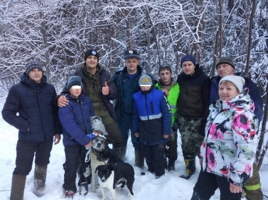 Собаки помогли кушвинским детям не замерзнуть в лесу