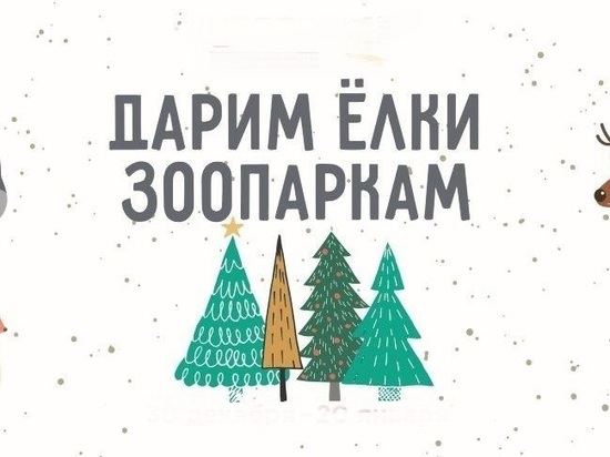 Ивановский зоопарк проводит акцию "Новогодняя ель"