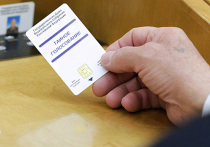 Депутаты фракции ЛДПР в Госдуме нашли свои потерянные карточки для голосования, без которых невозможно оставлять голоса за законопроекты
