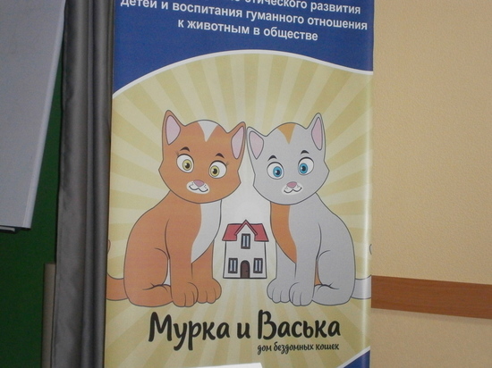 В Год собаки поговорим о кошках В Год собаки поговорим о кошках