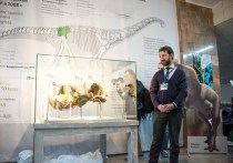Неизвестный науке вид динозавра найден недалеко от села Шестаково в Кемеровской области