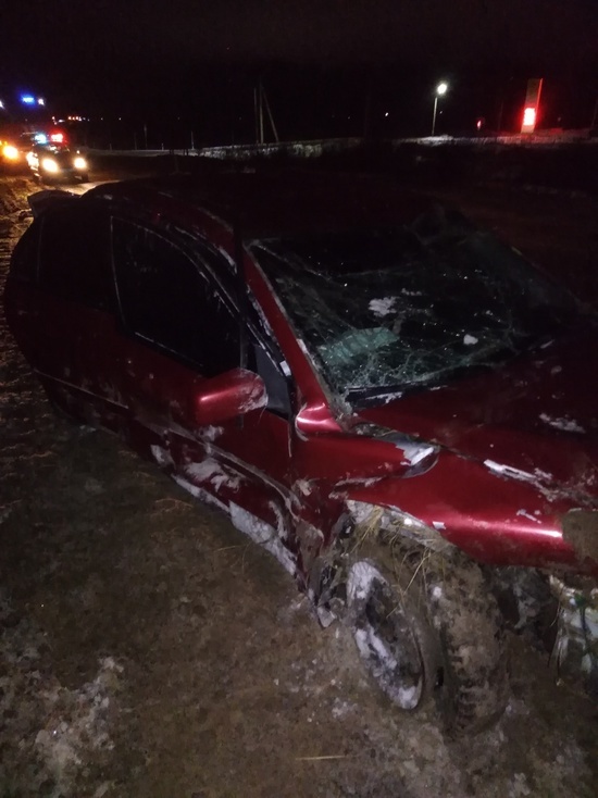 В Ивановской области водитель разбил машину, спасая собаку