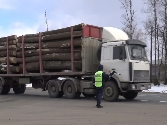В Ярославской области прошла операция против «черных» лесорубов «Лес»