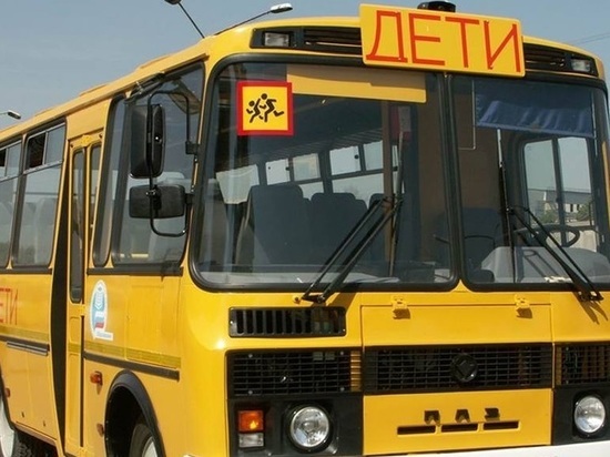 Новый автобус для школьников пустят до Чистых Боров