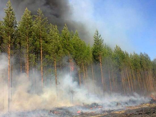 Сводные планы тушения лесов на пожароопасный период 2018 года подготовлены во всех районах Вологодской области