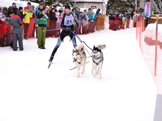 Более 30 спортсменов и 250 собак приняли участие в Международной квест-гонке на собачьих упряжках «Русский Север – 2018»