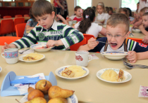 После массового отравления детей в кадетской школе Люберец в Подмосковье будет проверено, как организовано питание во всех образовательных учреждениях области