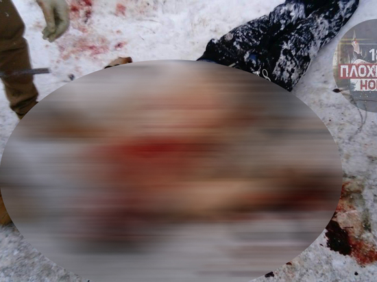 В соцсетях появились шокирующие фото убитых в Оренбурге бизнесмена и его сына (18+)