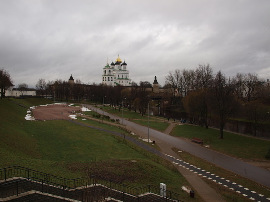 Специалисты нашли в парке муравьиные тропы и принудительный вытрезвитель