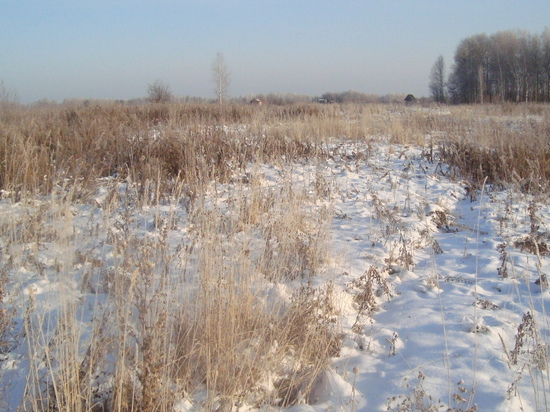 Москвичи отказались от земель в пользу районов Костромской области