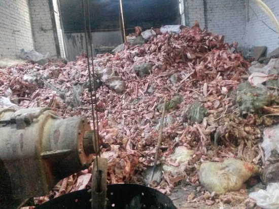 На алтайском заводе по производству мясокостной муки нашли нарушения