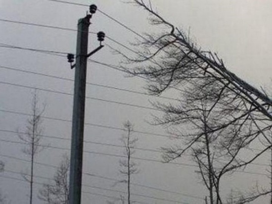 Поселок Джеланды в Оренбургском районе остался без света из-за сильного ветра