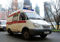 Восьмиклассница московской школы погибла в ночь на 26 января на северо-востоке Москвы. Следователи СК устанавливают причину трагедии.