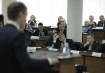На заседании Думы Нижнего Новгорода 17 января депутатам пришлось «раскладывать» новые поступления в казну муниципалитета
