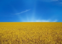 Украина вошла в список стран, в которых наблюдается дефицит продуктов