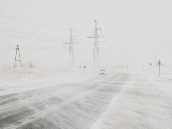 Снегопад и усиление ветра ждут в течение суток в Костромской области