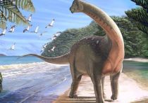 В оазисе Дахла на севере Египта были обнаружены останки динозавра ранее неизвестного вида