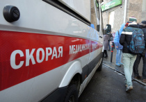 На бригаду «скорой помощи» напала неадекватная пожилая пациентка в квартире на Чертановской улице утром 31 января, пострадала врач-реаниматолог