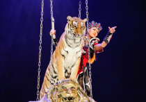 В Воронеже стартовала премьера масштабного циркового шоу, которое привез заслуженный артист РФ, обладатель всевозможных цирковых наград Гия Эрадзе