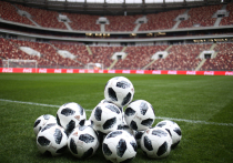 Комиссия ФИФА начала финальную комплексную проверку готовности стадионов и городов к чемпионату мира по футболу