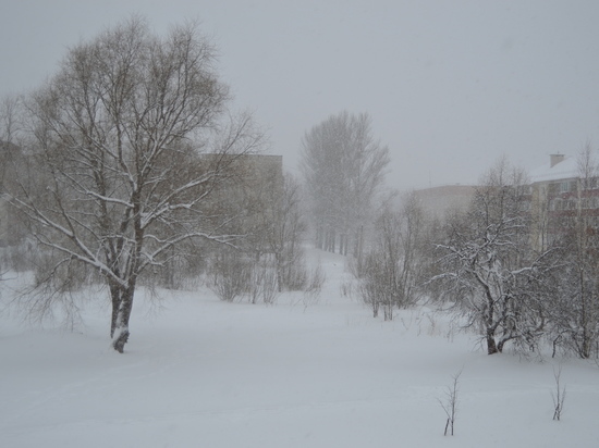 Сильные снегопады обрушились на Костромскую область