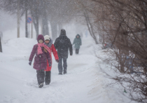 Сегодняшнее рабочее заседание в исполнительном комитете Казани началось с сообщения о том, что в городе выпала февральская месячная норма осадков и на очистку транспортных магистралей выведено 600 единиц снегоуборочной техники