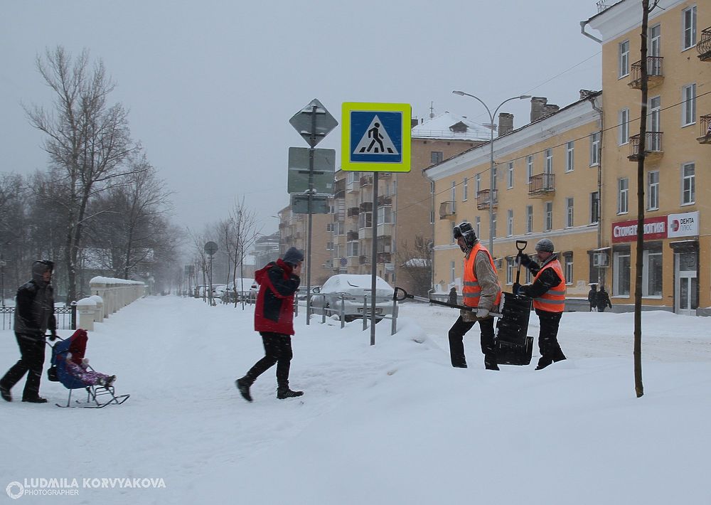 Белые мухи: Петрозаводск засыпало снегом