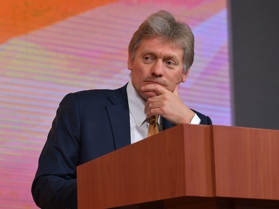 Представитель Кремля принял к сведению замечания Памфиловой