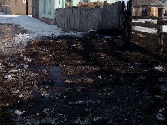В Соль-Илецком городском округе женщина сожгла сеновал своей односельчанке   